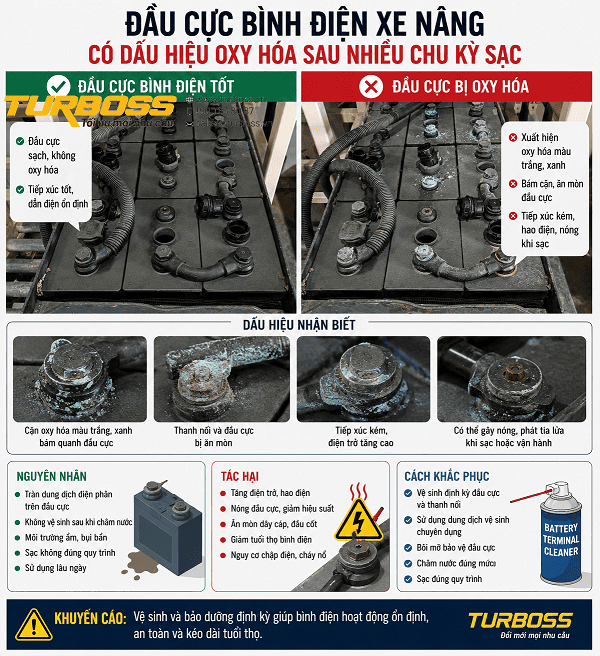 Đầu cực bình điện xe nâng oxy hóa do châm nước quá đầy